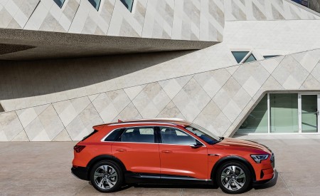 2019 Audi e-tron (Color: Catalunya Red) Side Wallpapers 450x275 (45)