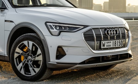 2019 Audi e-tron (Color: Glacier White) Detail Wallpapers 450x275 (234)
