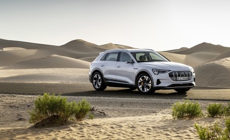 2019 Audi e-tron (Color: Glacier White) Front Three-Quarter Wallpapers 450x275 (222)