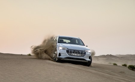 2019 Audi e-tron (Color: Glacier White) Front Wallpapers 450x275 (209)
