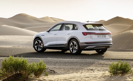 2019 Audi e-tron (Color: Glacier White) Rear Three-Quarter Wallpapers 450x275 (224)