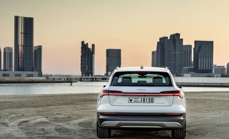2019 Audi e-tron (Color: Glacier White) Rear Wallpapers 450x275 (229)