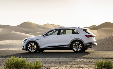 2019 Audi e-tron (Color: Glacier White) Side Wallpapers 450x275 (225)