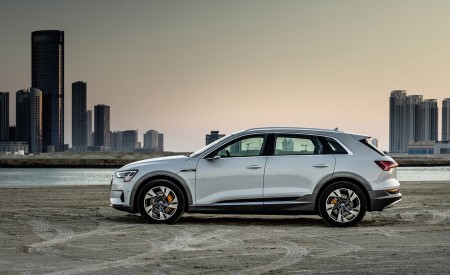 2019 Audi e-tron (Color: Glacier White) Side Wallpapers 450x275 (230)