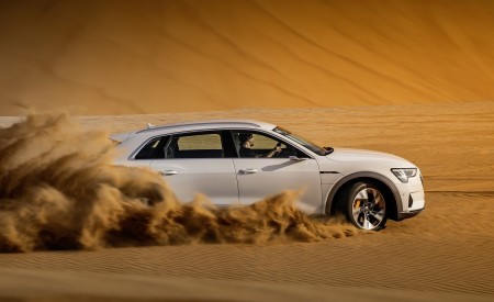 2019 Audi e-tron (Color: Glacier White) Side Wallpapers 450x275 (213)