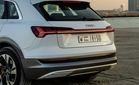 2019 Audi e-tron (Color: Glacier White) Tail Light Wallpapers 450x275 (232)