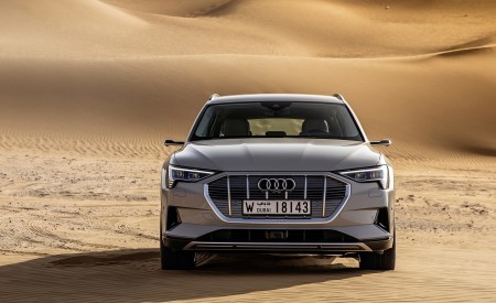 2019 Audi e-tron (Color: Siam Beige) Front Wallpapers 450x275 (160)