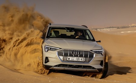 2019 Audi e-tron (Color: Siam Beige) Front Wallpapers 450x275 (161)