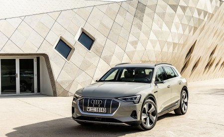 2019 Audi e-tron (Color: Siam Beige) Front Wallpapers 450x275 (180)