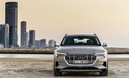 2019 Audi e-tron (Color: Siam Beige) Front Wallpapers 450x275 (170)