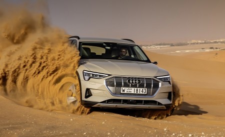 2019 Audi e-tron (Color: Siam Beige) Front Wallpapers 450x275 (162)