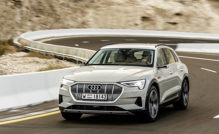 2019 Audi e-tron (Color: Siam Beige) Front Wallpapers 450x275 (143)