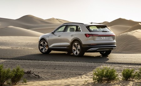 2019 Audi e-tron (Color: Siam Beige) Rear Three-Quarter Wallpapers 450x275 (163)