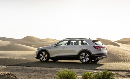 2019 Audi e-tron (Color: Siam Beige) Rear Three-Quarter Wallpapers 450x275 (164)