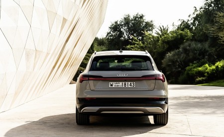 2019 Audi e-tron (Color: Siam Beige) Rear Wallpapers 450x275 (184)