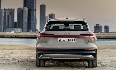 2019 Audi e-tron (Color: Siam Beige) Rear Wallpapers 450x275 (173)