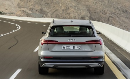 2019 Audi e-tron (Color: Siam Beige) Rear Wallpapers 450x275 (148)