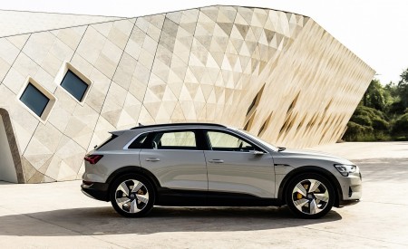 2019 Audi e-tron (Color: Siam Beige) Side Wallpapers 450x275 (185)