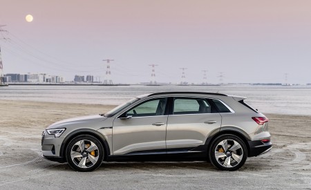 2019 Audi e-tron (Color: Siam Beige) Side Wallpapers 450x275 (174)