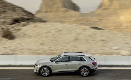 2019 Audi e-tron (Color: Siam Beige) Side Wallpapers 450x275 (156)