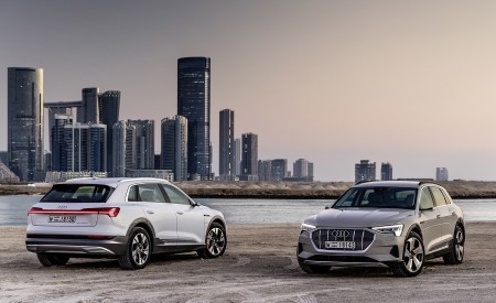 2019 Audi e-tron (Color: Siam Beige) and Audi e-tron (Color: Glacier White) Wallpapers 450x275 (195)