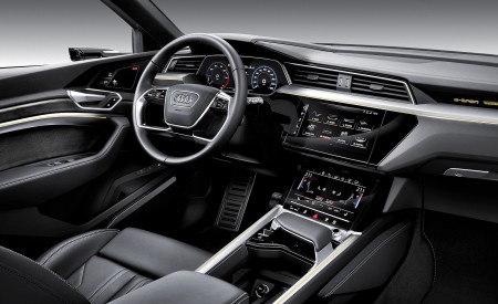 2019 Audi e-tron Electric SUV Interior Wallpapers 450x275 (136)