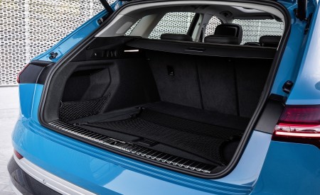 2019 Audi e-tron Trunk Wallpapers 450x275 (119)