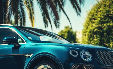 2019 Bentley Bentayga Plug-in Hybrid Detail Wallpapers 450x275 (14)