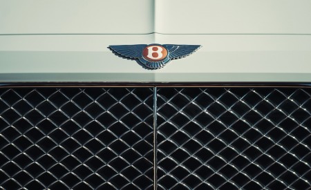 2019 Bentley Bentayga Plug-in Hybrid Grill Wallpapers 450x275 (43)