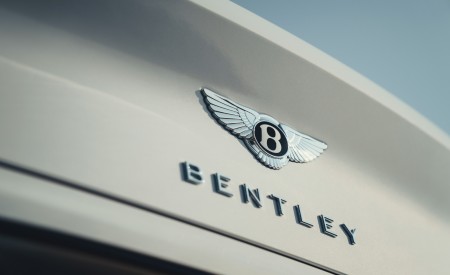 2019 Bentley Continental GT Convertible Badge Wallpapers 450x275 (81)