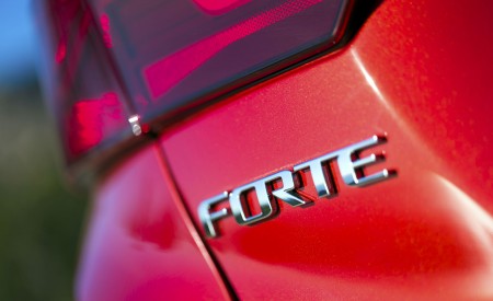 2019 Kia Forte Badge Wallpapers 450x275 (25)