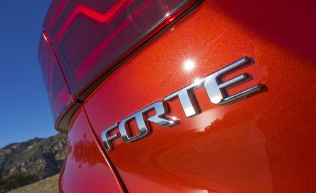 2019 Kia Forte Badge Wallpapers 450x275 (24)