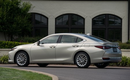 2019 Lexus ES 300h Rear Three-Quarter Wallpapers 450x275 (67)