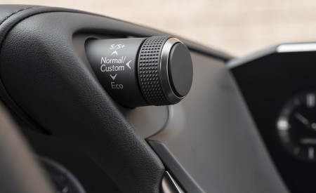 2019 Lexus ES 350 F-Sport Interior Detail Wallpapers 450x275 (28)