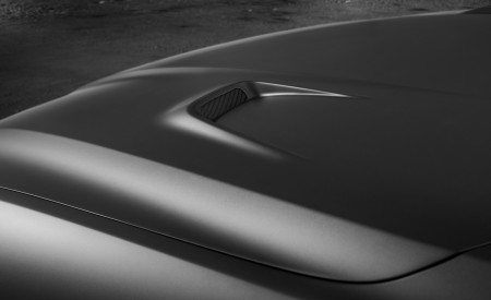 2019 Maserati Levante Trofeo Hood Wallpapers 450x275 (86)