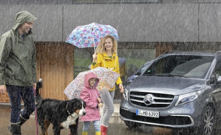 2019 Mercedes-Benz V-Class EXCLUSIVE Line (Color: Selenit Grey Metallic) Detail Wallpapers 450x275 (13)