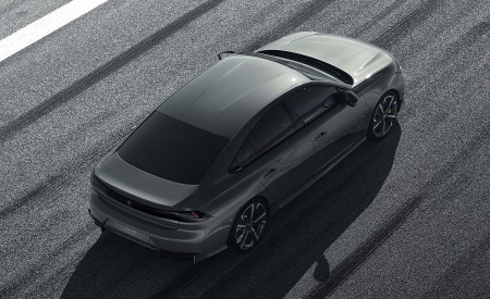 2019 Peugeot 508 Sport Engineered Concept Top Wallpapers 450x275 (8)