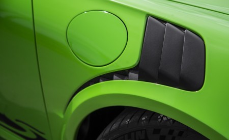 2019 Porsche 911 GT3 RS (Color: Lizard Green) Detail Wallpapers 450x275 (145)