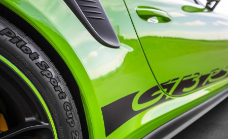 2019 Porsche 911 GT3 RS (Color: Lizard Green) Detail Wallpapers 450x275 (146)