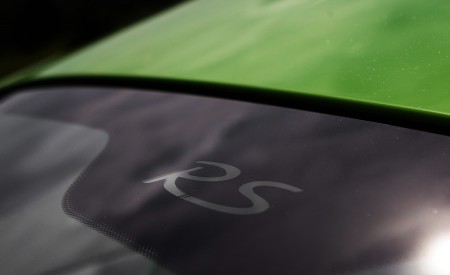 2019 Porsche 911 GT3 RS (Color: Lizard Green) Detail Wallpapers 450x275 (148)