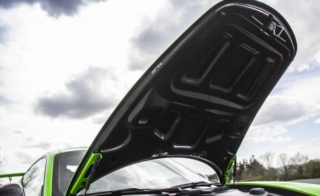 2019 Porsche 911 GT3 RS (Color: Lizard Green) Exterior Detail Wallpapers 450x275 (149)