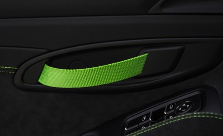 2019 Porsche 911 GT3 RS (Color: Lizard Green) Interior Detail Wallpapers 450x275 (163)