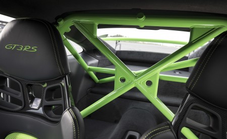 2019 Porsche 911 GT3 RS (Color: Lizard Green) Roll Cage Wallpapers 450x275 (158)
