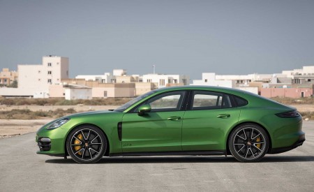 2019 Porsche Panamera GTS (Color: Mamba Green Metallic) Side Wallpapers 450x275 (40)