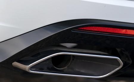 2019 Volkswagen Touareg V6 TDI R-Line (UK-Spec) Tailpipe Wallpapers 450x275 (32)