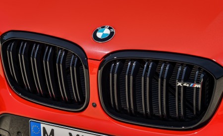 2020 BMW X4 M Competition Grill Wallpapers 450x275 (37)