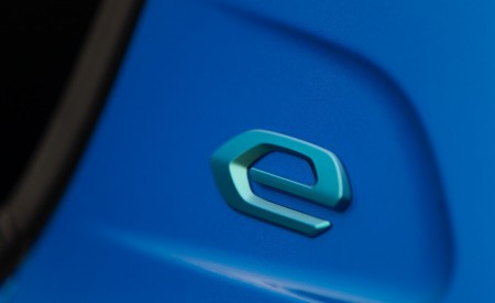 2020 Peugeot e-208 EV Badge Wallpapers  450x275 (30)
