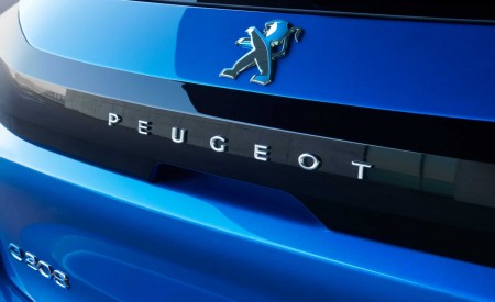 2020 Peugeot e-208 EV Badge Wallpapers 450x275 (65)