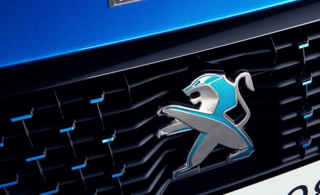 2020 Peugeot e-208 EV Badge Wallpapers 450x275 (64)
