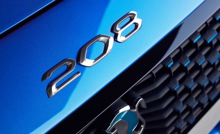 2020 Peugeot e-208 EV Grill Wallpapers 450x275 (63)
